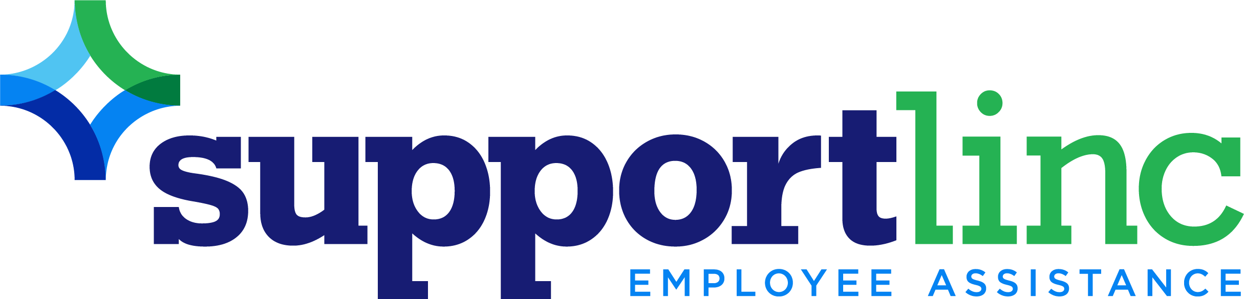VSP logo